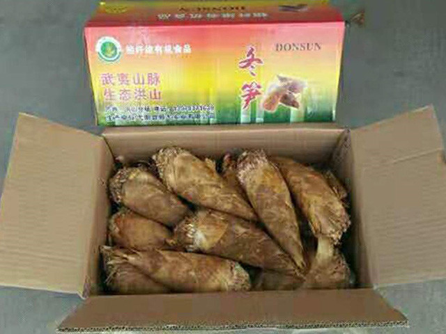 冬筍
